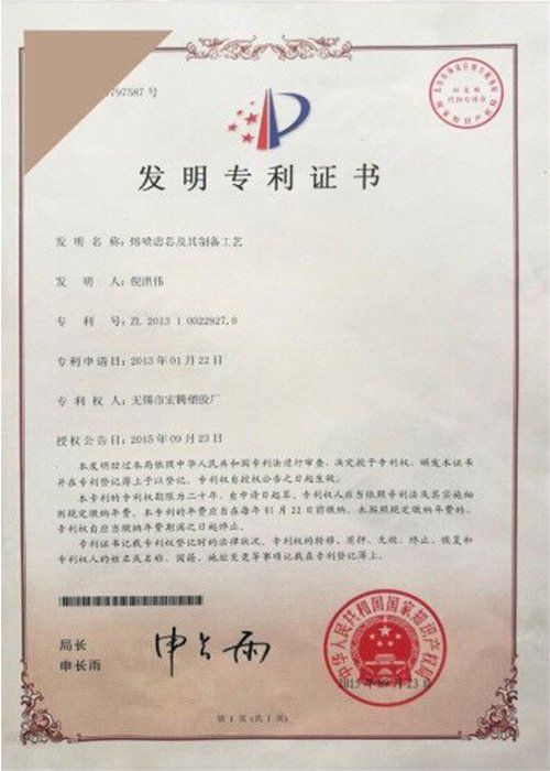 2013 patent